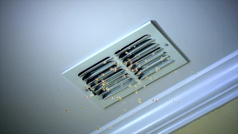 Best Ventilation Cleaning Services  in Walden, NY